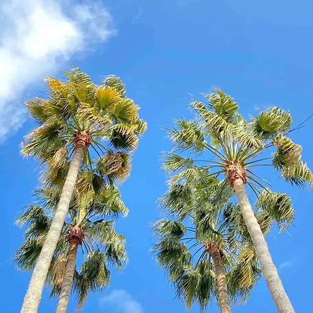 Cannes Hills With Garden And Parking Vakantiehuis Le Cannet